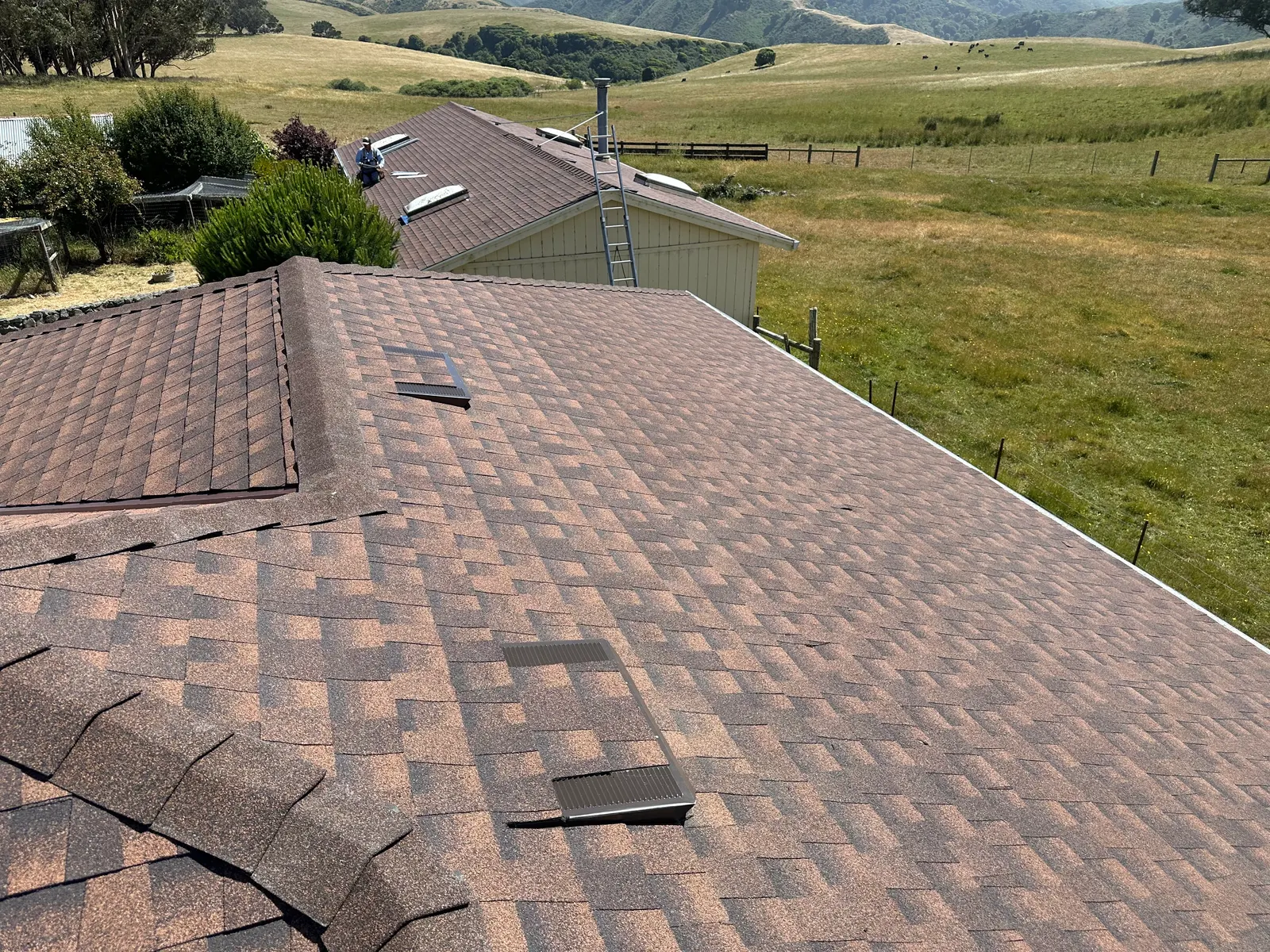 Ranch home roof replacement with new architectural shingles near Windsor