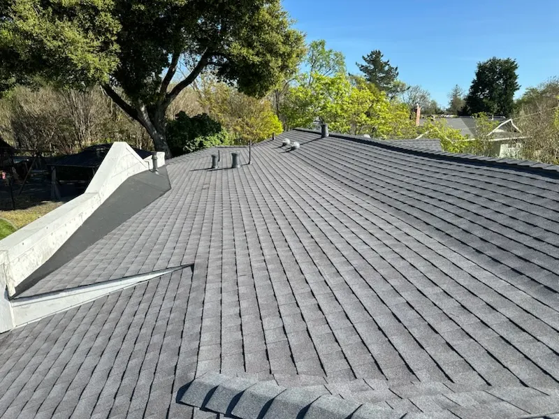 Dark composition shingle roof replacement under mature trees