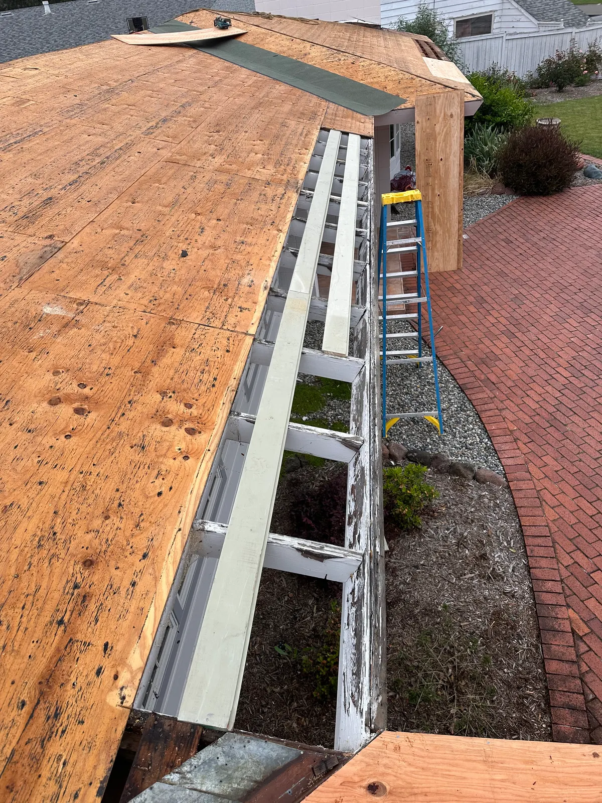 Emergency eave and fascia repair during a Sonoma County re-roof