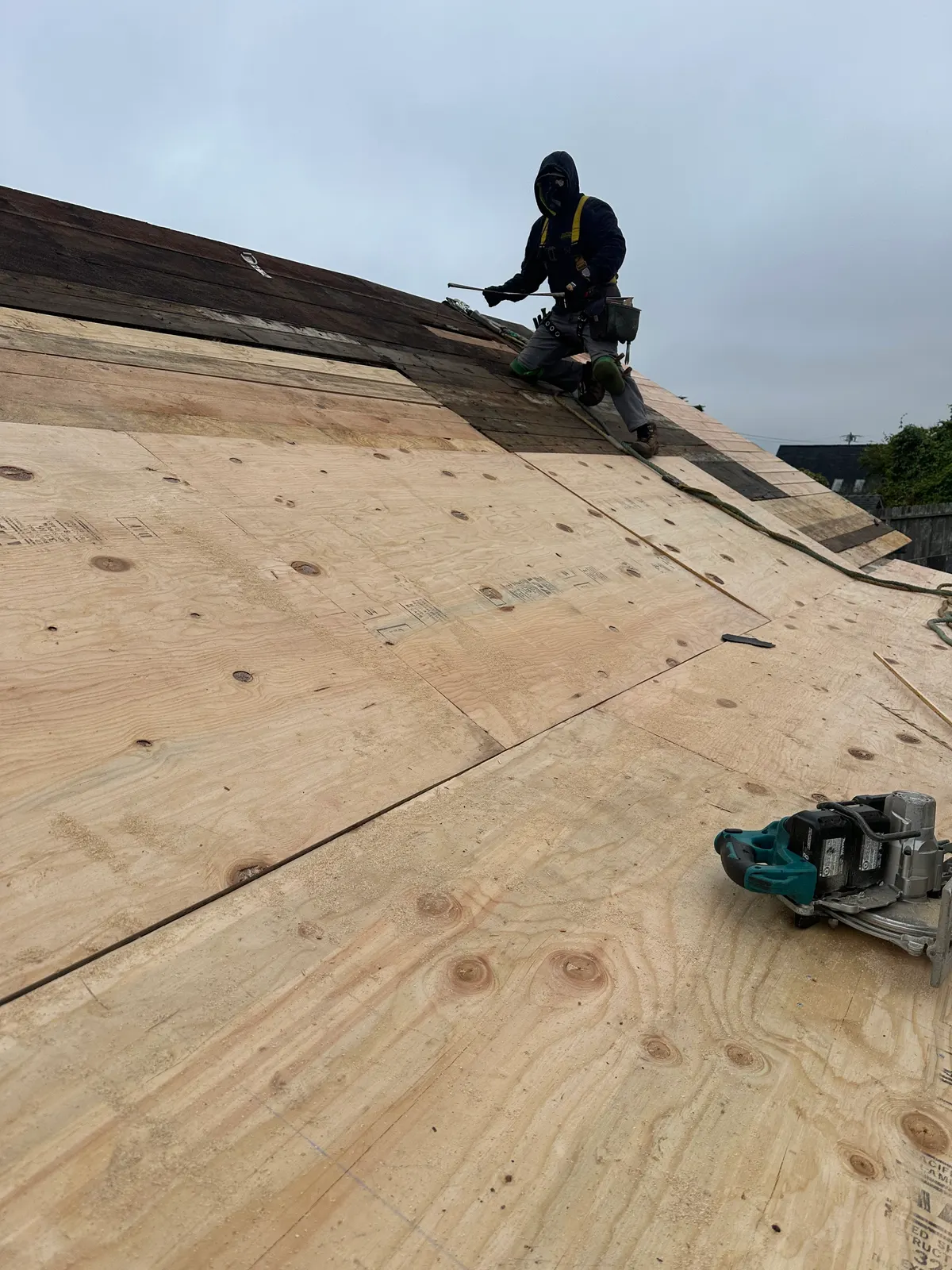 Sutter roofer in full fall-protection harness re-decking a steep roof