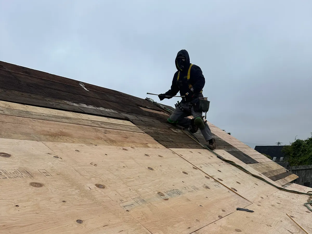Sutter roofer in fall-protection harness re-decking a roof in Sonoma County