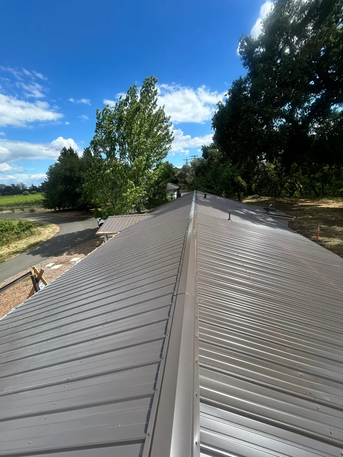 Standing-seam metal roof ridge line beneath mature oak trees