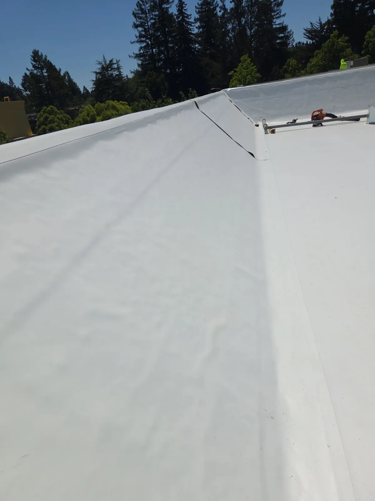 Low-slope roof among Sebastopol redwoods